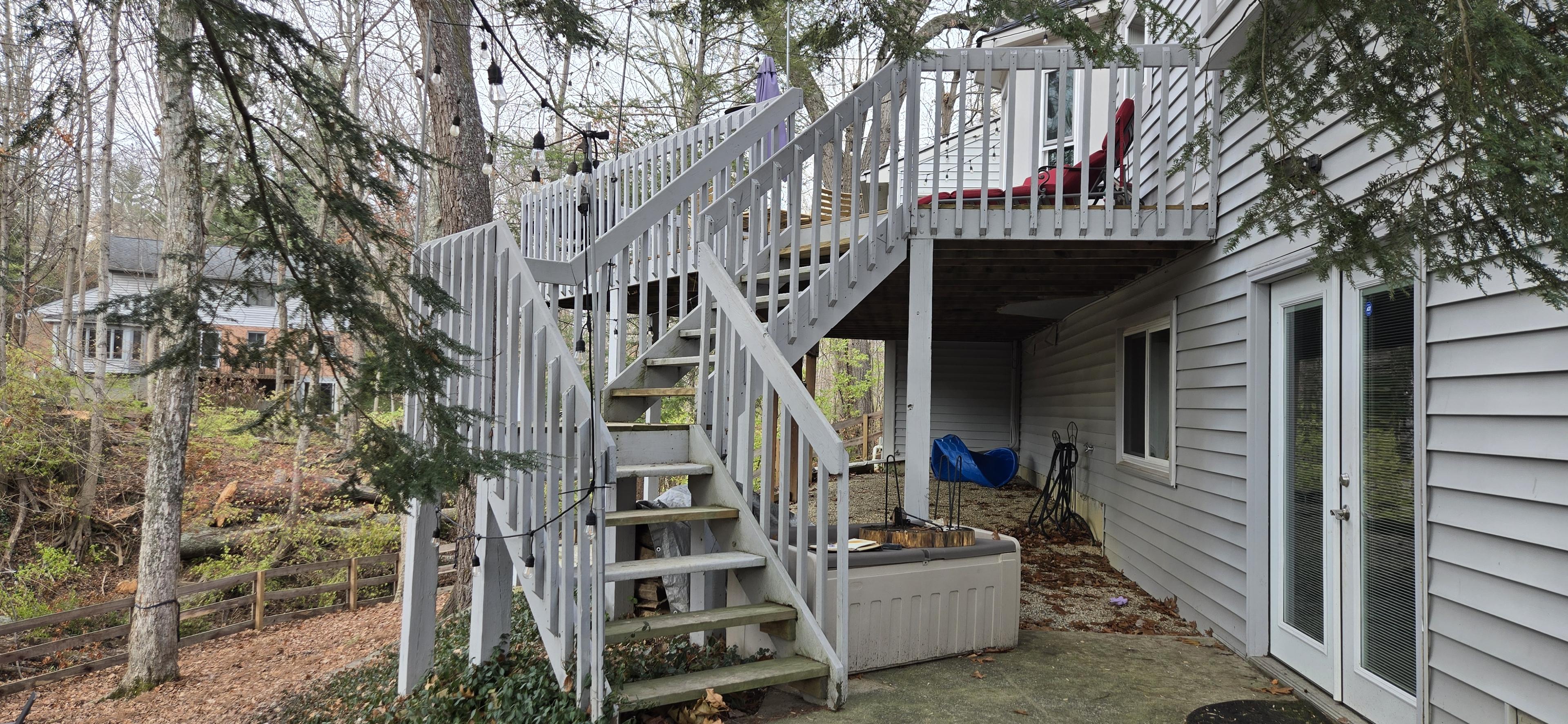 Wayside Woods before